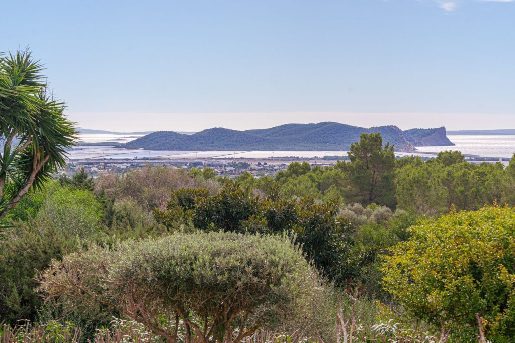 View01