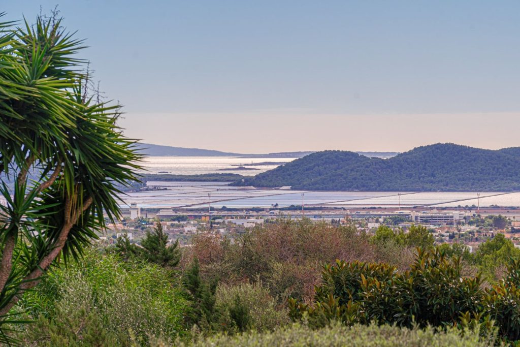 View03